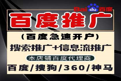 SEO技术突破：某网站流量暴增的背后故事
